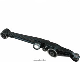 Wholesale Automotive Spare Parts - Honda Control Arm 51365-SM4-040 D2NN4285