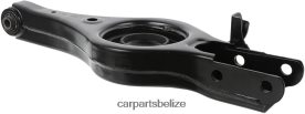 Auto Parts Belize City - Hyundai Control Arm 55210-2S200 D2NN423081