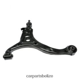Auto Parts Belize - Hyundai Control Arm 54500-4D101 D2NN423028