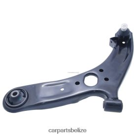 Car Parts Belize - Hyundai Control Arm 54500-1R000 D2NN42183