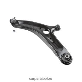 Car Parts Wholesale - Hyundai Control Arm 54500-1P100 D2NN421089