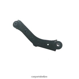 Car Spare Part Wholesaler - Hyundai Control Arm 55100-2Z100 D2NN42100