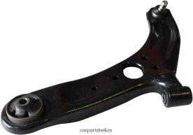 Car Parts Wholesale Suppliers - Kia Control Arm 54500-1W000 D2NN4231