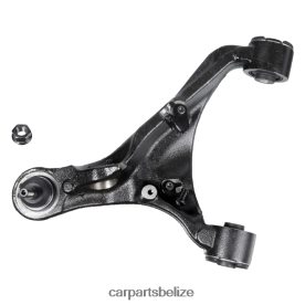 Car Parts Belize - Land-Rover Control Arm RBJ500850 D2NN42807