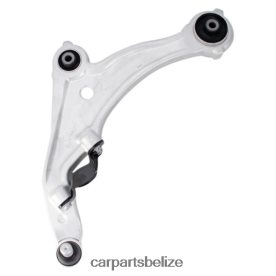 Automobile Spare Parts Wholesaler - Nissan Control Arm 54501-9N00B D2NN422504