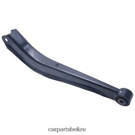 Automobile Spare Parts Wholesaler - Subaru Control Arm 20250-AE01A D2NN42957