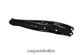Car Parts Wholesale - Subaru Control Arm 20250-AJ040 D2NN42309