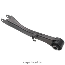 Car Spare Part Wholesaler - Subaru Control Arm 20250-AJ000 D2NN42308