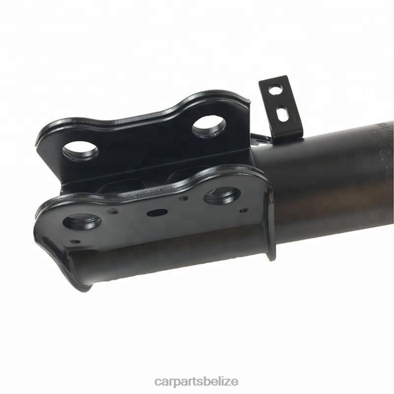Auto Parts Belize - 333198 Shock Absorber for Toyota Caldina Fits Front 6B0FL607