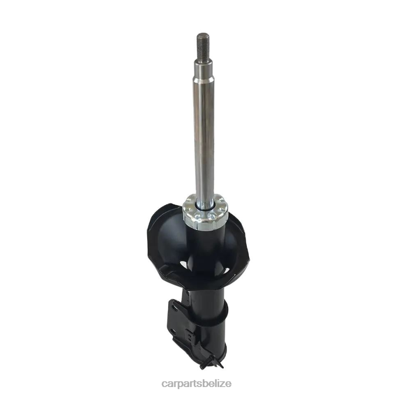 Auto Parts Wholesale - 339022 Shock Absorber for Zotye Fits Front 6B0FL662