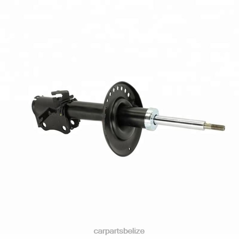 Car Parts Belize - 333605 Shock Absorber for Nissan Sentra 2.0 Fits Front 6B0FL649
