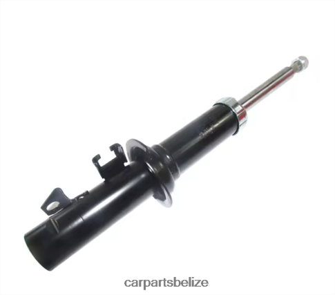 Car Parts Belmopan - Shock Absorber Fits Front 333066 080JZD48 DAEWO