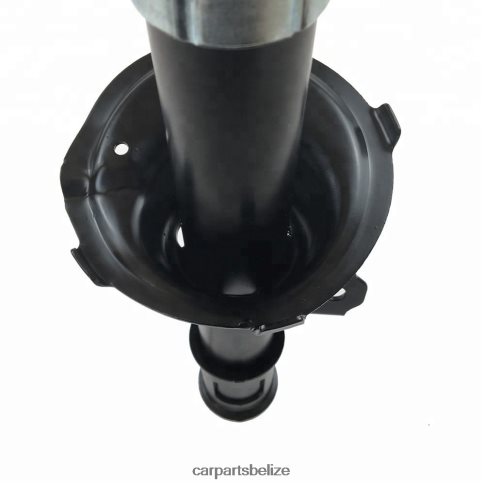 Car Parts Online - Shock Absorber Fits Front 332500 080JZD68 KIA