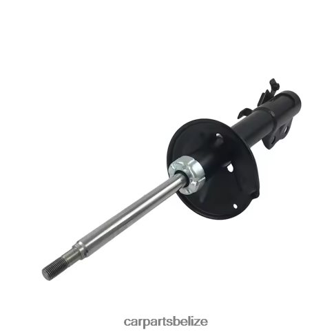 Car Parts Online - Shock Absorber Fits Front 333210 080JZD24 TOYOTA