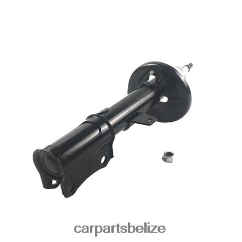 Car Parts Belize City - Shock Absorber Fits Rear 333107 080JZD36 TOYOTA