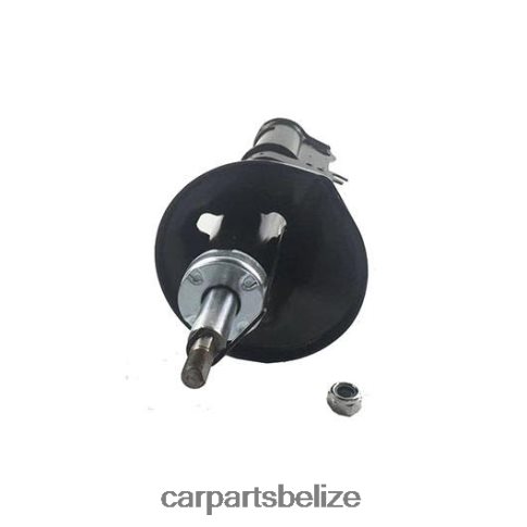 Car Parts Belize City - Shock Absorber Fits Rear 333107 080JZD36 TOYOTA