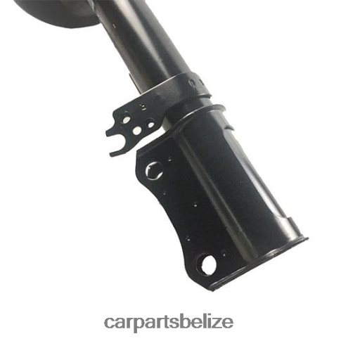 Car Parts Belize City - Shock Absorber Fits Rear 333107 080JZD36 TOYOTA